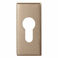 GPF1101.A4 cilinderrozet 70x32x10mm Champagne blend