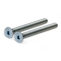 AG0301 staal gegalvaniseerd bout DIN7991 2xM5x40mm