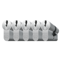 Cilinderslot Mauer, MLP serie, dubbele cilinder gelijksluitend per 5, met kerntrekbeveiliging