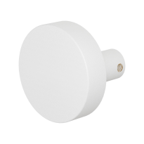 GPF8965.62 Wit excentrische knop 55x16mm draaibaar