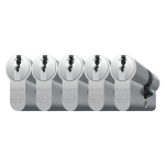 Mauer profielcilinder, DT1 serie, dubbele cilinder gelijksluitend per 5