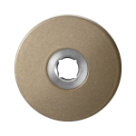 Rozet GPF1105.A4 50x6 mm Champagne blend