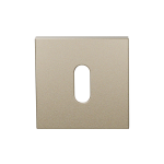 Sleutelrozet GPF199E 53x53x6,5 mm Champagne blend 