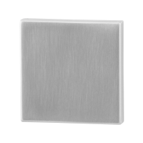 Blinde rozet GPF0900.02 50x50x8mm RVS geborsteld