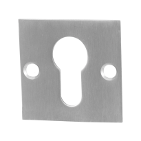 Cilinderrozet GPF0902.08 50x50x2mm RVS geborsteld