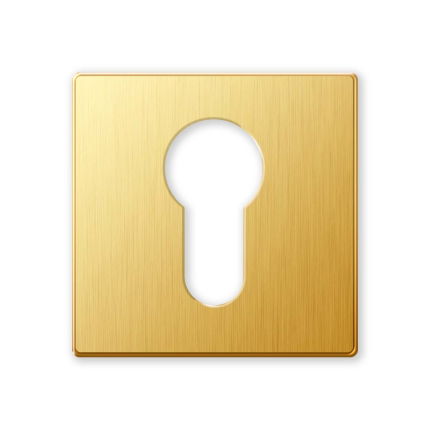 Cilinderrozet 1291/BY 50x6mm goud 24k 