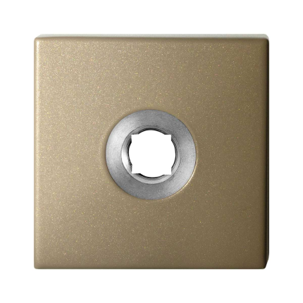 Rozet GPF1102.A4 R 50x50x8 mm Champagne blend rechtsdraaiend