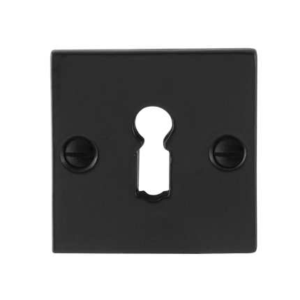 Sleutelrozet GPF6901.08 52x52x4mm smeedijzer zwart