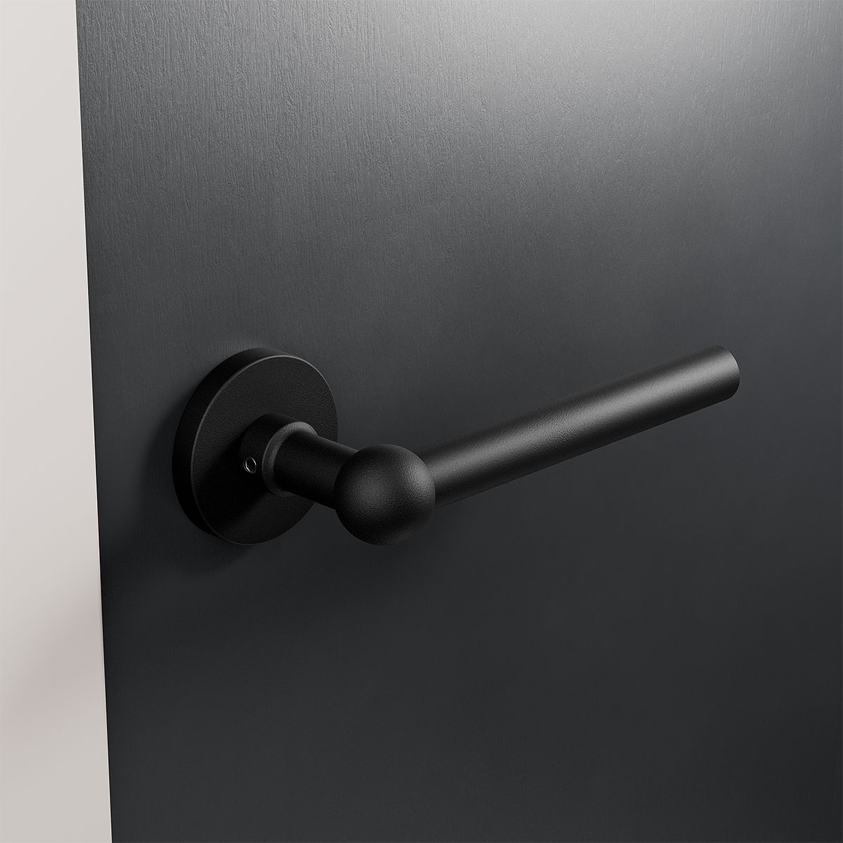 GPF8245 00 rozet sfeer donkere deur schuin.jpg